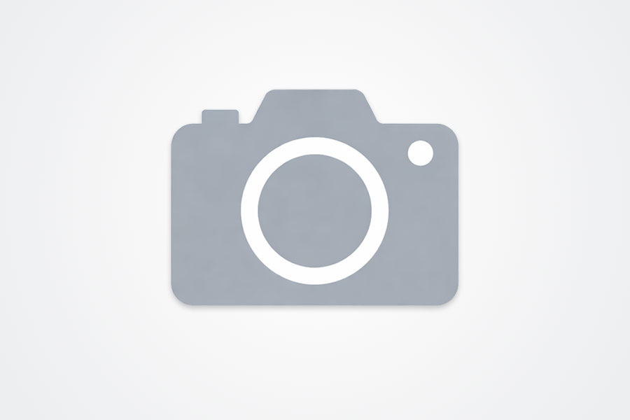 Martirio di san Pietro da Verona